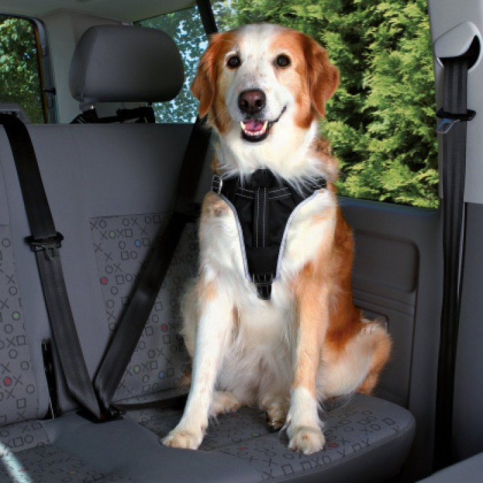 Захисна шлейка в авто для собак TRIXIE - Dog Protect, 65-80 см/25 мм,